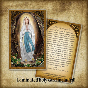 Our Lady of Lourdes Plaque & Holy Card Gift Set