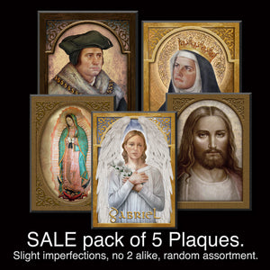SALE pack of 5 Assorted Plaques