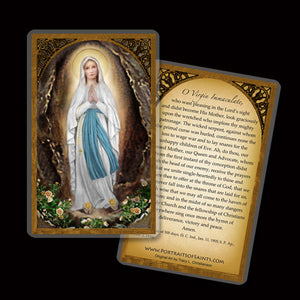 Our Lady of Lourdes Holy Card