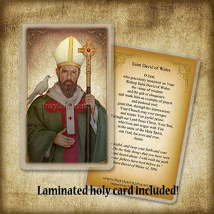 St. David of Wales Plaque & Holy Card Gift Set