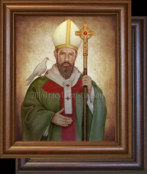 St. David of Wales Framed