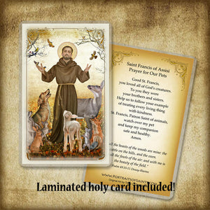 St. Francis of Assisi and Animals Plaque & Holy Card Gift Set