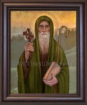 St. Finnian of Clonard Framed Art