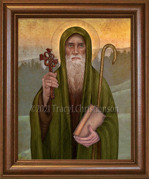 St. Finnian of Clonard Framed Art